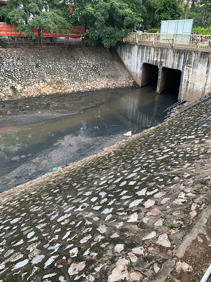 河川の試験区域