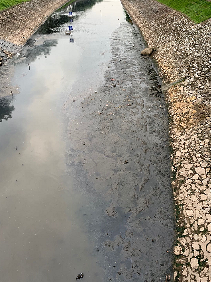 試験区域の水面